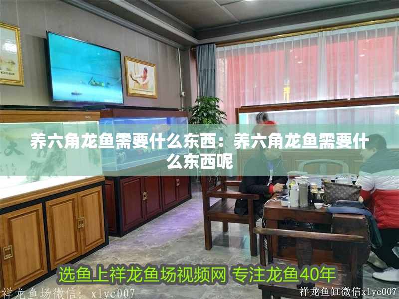 龍魚魚缸最佳尺寸是多少的vs祥龍魚場：龍魚魚缸最佳尺寸推薦值至少1.5米長度約59英寸