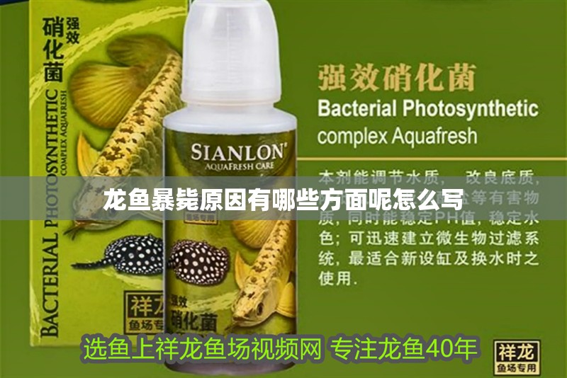 龍魚暴斃原因有哪些方面呢怎么寫 龍魚暴斃原因有哪些方面呢怎么寫 龍魚百科 第2張