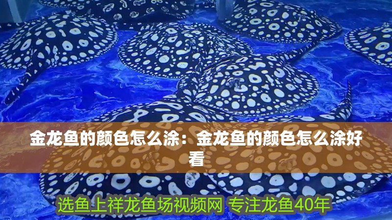 金龍魚的顏色怎么涂：金龍魚的顏色怎么涂好看 金龍魚的顏色怎么涂：金龍魚的顏色怎么涂好看 水族問(wèn)答