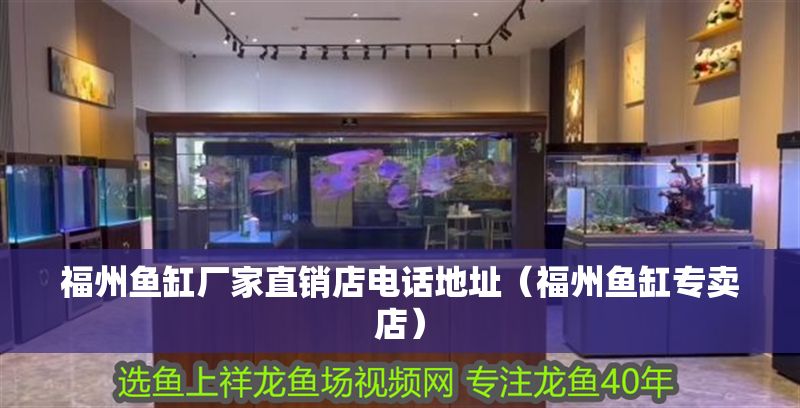 福州魚缸廠家直銷店電話地址（福州魚缸專賣店）
