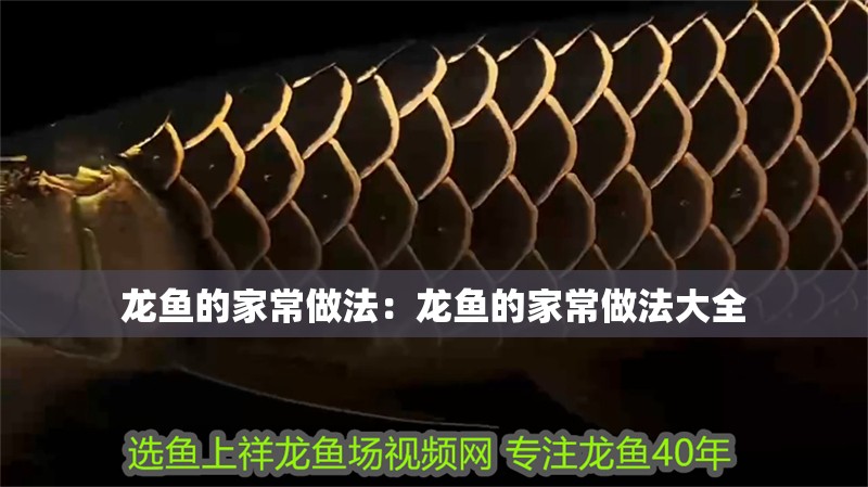 龍魚的家常做法：龍魚的家常做法大全 龍魚的家常做法：龍魚的家常做法大全 水族問答