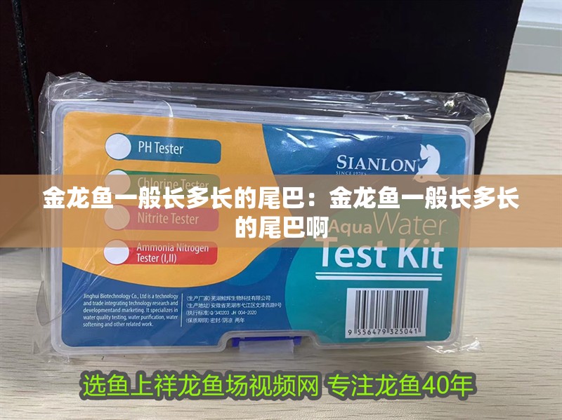 金龍魚一般長多長的尾巴:金龍魚一般長多長的尾巴啊 水族問答 金龍魚一般長多長的尾巴:金龍魚一般長多長的尾巴啊 金龍魚一般長多長的尾巴:金龍魚一般長多長的尾巴啊 水族問答
