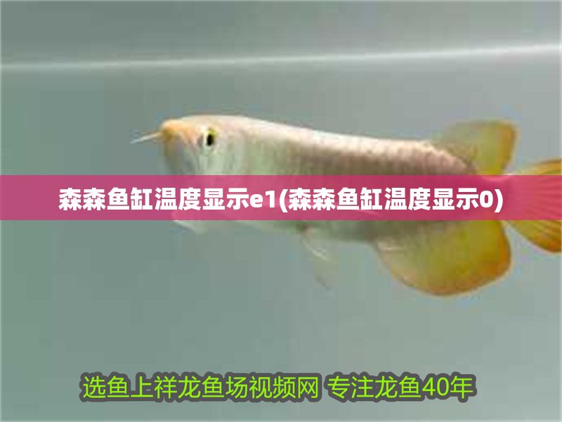 森森魚缸溫度顯示e1(森森魚缸溫度顯示0)