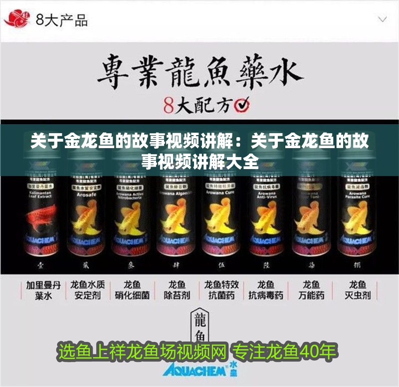 關(guān)于金龍魚的故事視頻講解：關(guān)于金龍魚的故事視頻講解大全