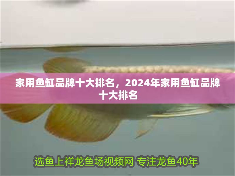 家用魚缸品牌十大排名，2024年家用魚缸品牌十大排名