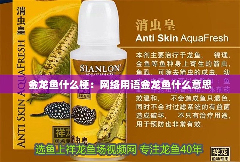 金龍魚什么梗：網絡用語金龍魚什么意思