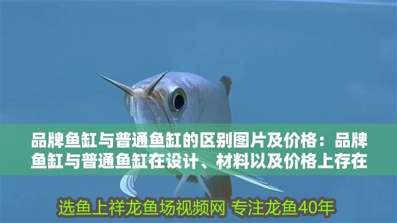 品牌魚(yú)缸與普通魚(yú)缸的區(qū)別圖片及價(jià)格：品牌魚(yú)缸與普通魚(yú)缸在設(shè)計(jì)、材料以及價(jià)格上存在差異