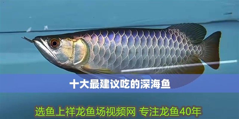 十大最建議吃的深海魚 十大最建議吃的深海魚 龍魚論壇