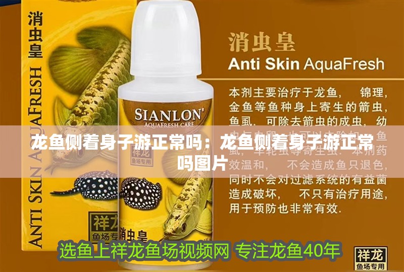 龍魚側著身子游正常嗎：龍魚側著身子游正常嗎圖片