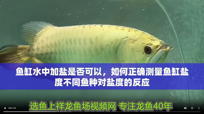 魚缸水中加鹽是否可以，如何正確測量魚缸鹽度不同魚種對鹽度的反應