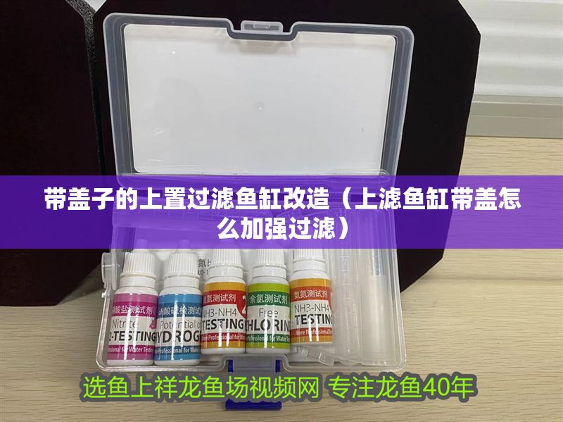 帶蓋子的上置過濾魚缸改造（上濾魚缸帶蓋怎么加強過濾）