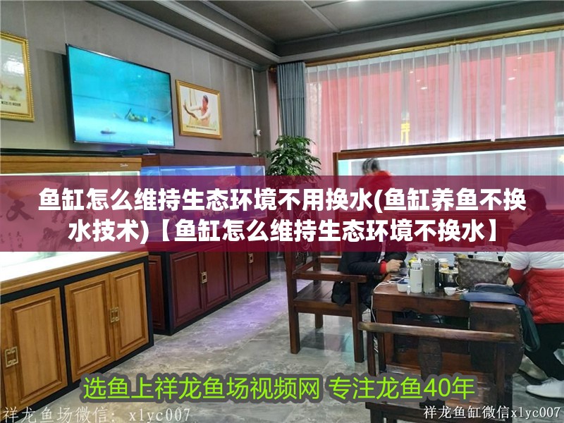 魚缸怎么維持生態環境不用換水(魚缸養魚不換水技術)【魚缸怎么維持生態環境不換水】 魚缸怎么維持生態環境不用換水(魚缸養魚不換水技術)【魚缸怎么維持生態環境不換水】 龍魚百科