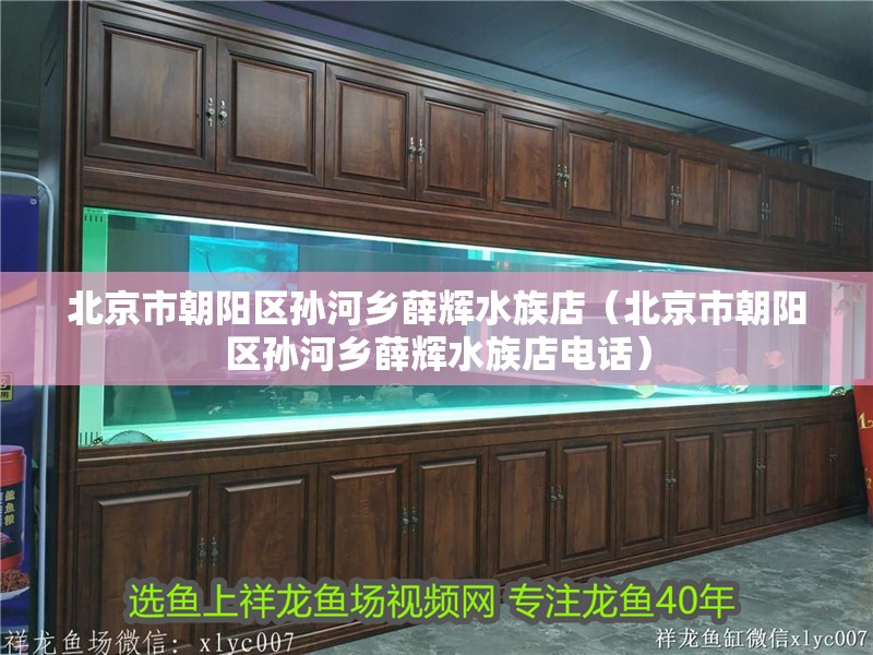 北京市朝陽區孫河鄉薛輝水族店（北京市朝陽區孫河鄉薛輝水族店電話）