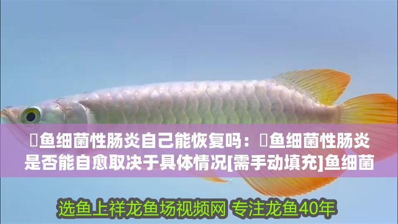 魟魚(yú)細(xì)菌性腸炎自己能恢復(fù)嗎：魟魚(yú)細(xì)菌性腸炎是否能自愈取決于具體情況[需手動(dòng)填充]魚(yú)細(xì)菌性腸炎自己能恢復(fù)嗎