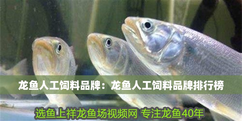龍魚人工飼料品牌：龍魚人工飼料品牌排行榜 龍魚人工飼料品牌：龍魚人工飼料品牌排行榜 水族問答