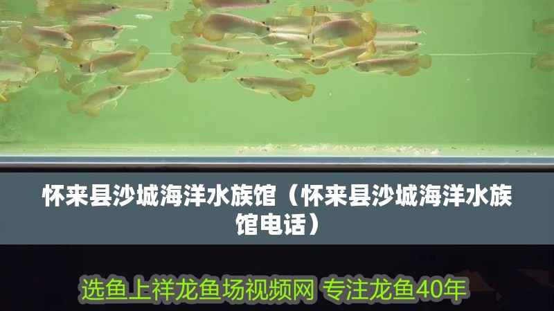 懷來縣沙城海洋水族館（懷來縣沙城海洋水族館電話） 懷來縣沙城海洋水族館（懷來縣沙城海洋水族館電話） 全國水族館企業名錄 第1張