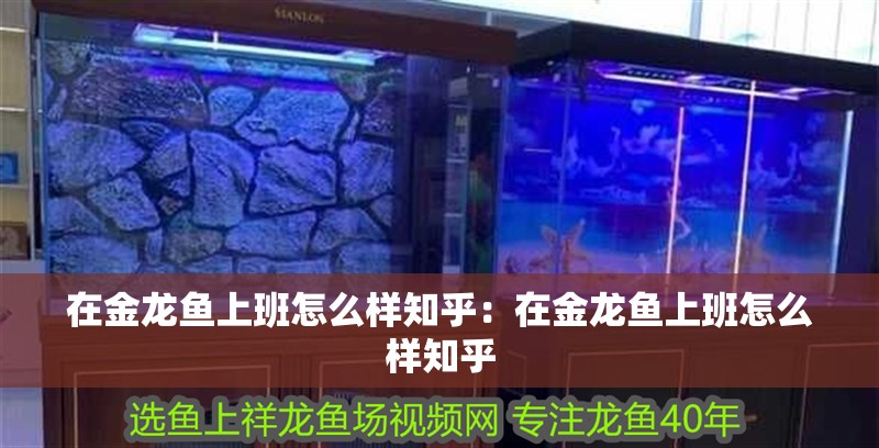 在金龍魚上班怎么樣知乎:在金龍魚上班怎么樣知乎 水族問(wèn)答 在金龍魚上班怎么樣知乎:在金龍魚上班怎么樣知乎 在金龍魚上班怎么樣知乎:在金龍魚上班怎么樣知乎 水族問(wèn)答