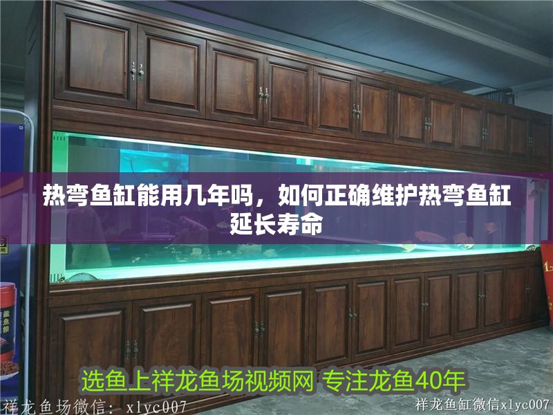 熱彎魚缸能用幾年嗎，如何正確維護熱彎魚缸延長壽命