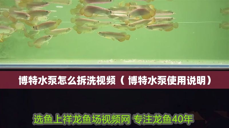 博特水泵怎么拆洗視頻（ 博特水泵使用說明）