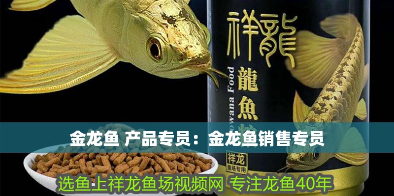 金龍魚 產(chǎn)品專員：金龍魚銷售專員