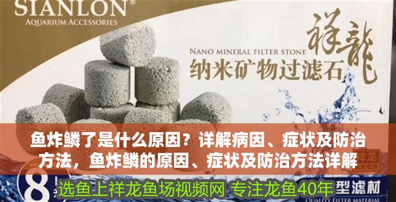 魚炸鱗了是什么原因？詳解病因、癥狀及防治方法，魚炸鱗的原因、癥狀及防治方法詳解