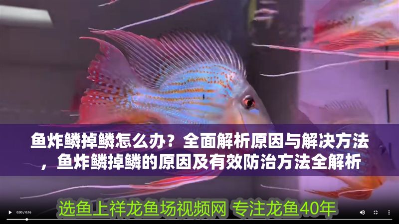 魚炸鱗掉鱗怎么辦？全面解析原因與解決方法，魚炸鱗掉鱗的原因及有效防治方法全解析