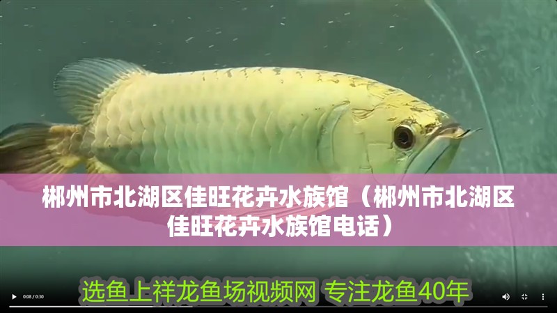 郴州市北湖區(qū)佳旺花卉水族館（郴州市北湖區(qū)佳旺花卉水族館電話）