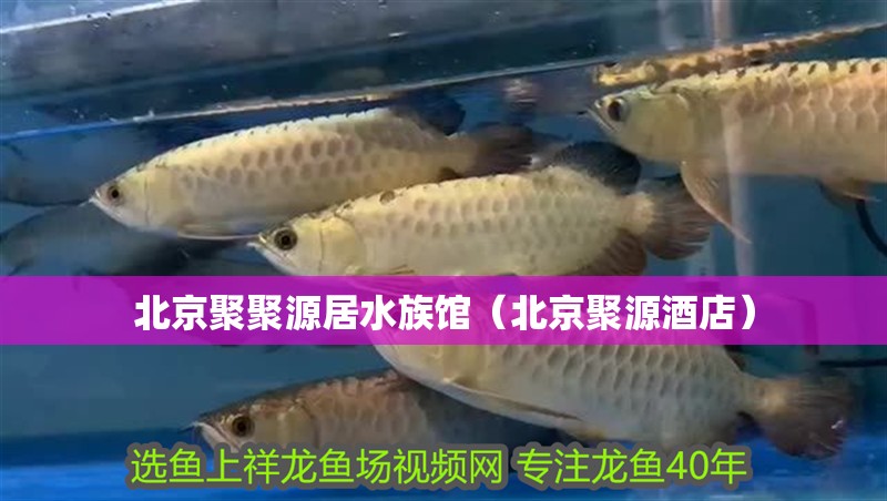 北京聚聚源居水族館（北京聚源酒店）