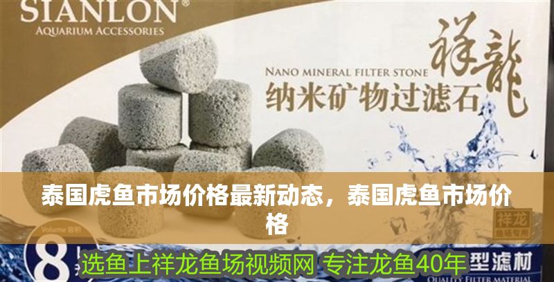 泰國虎魚市場價格最新動態，泰國虎魚市場價格