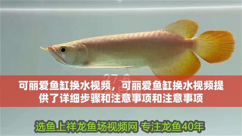 可麗愛魚缸換水視頻，可麗愛魚缸換水視頻提供了詳細步驟和注意事項和注意事項