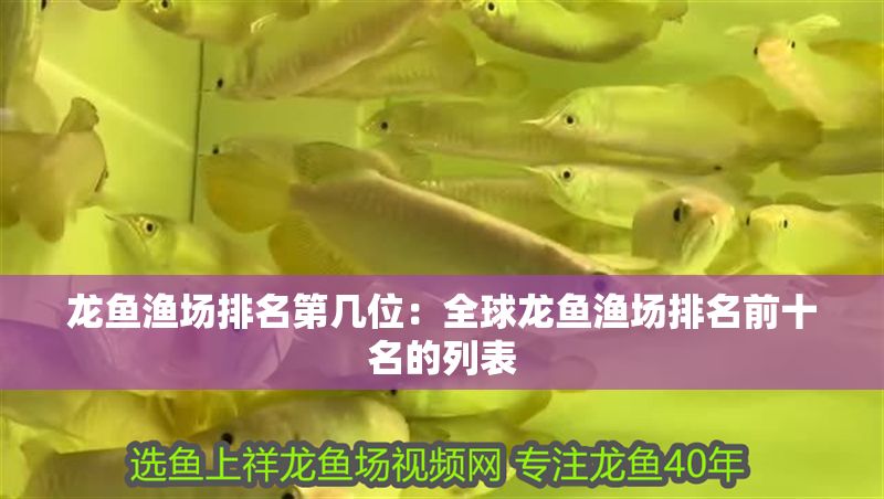 龍魚漁場(chǎng)排名第幾位：全球龍魚漁場(chǎng)排名前十名的列表