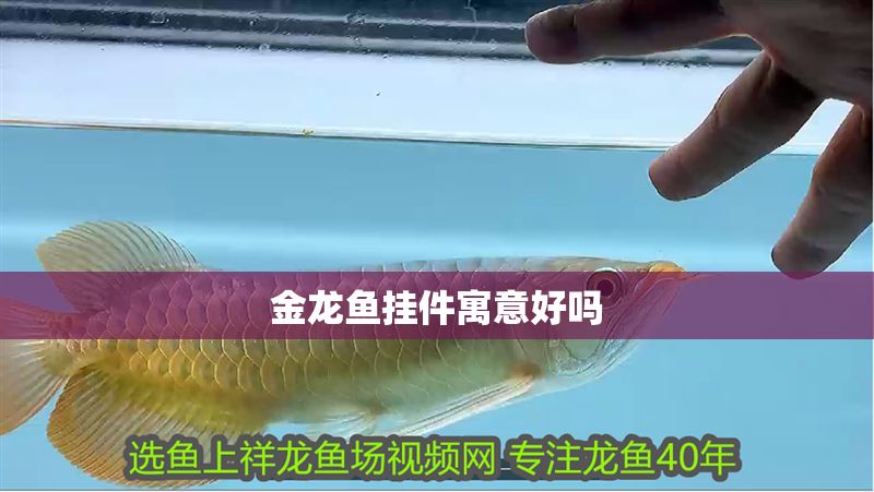 金龍魚掛件寓意好嗎