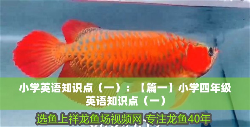 小學(xué)英語(yǔ)知識(shí)點(diǎn)（一）：【篇一】小學(xué)四年級(jí)英語(yǔ)知識(shí)點(diǎn)（一）