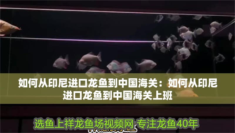 上海春常在商務旅游咨詢有限公司（上海春常路屬于哪個區）