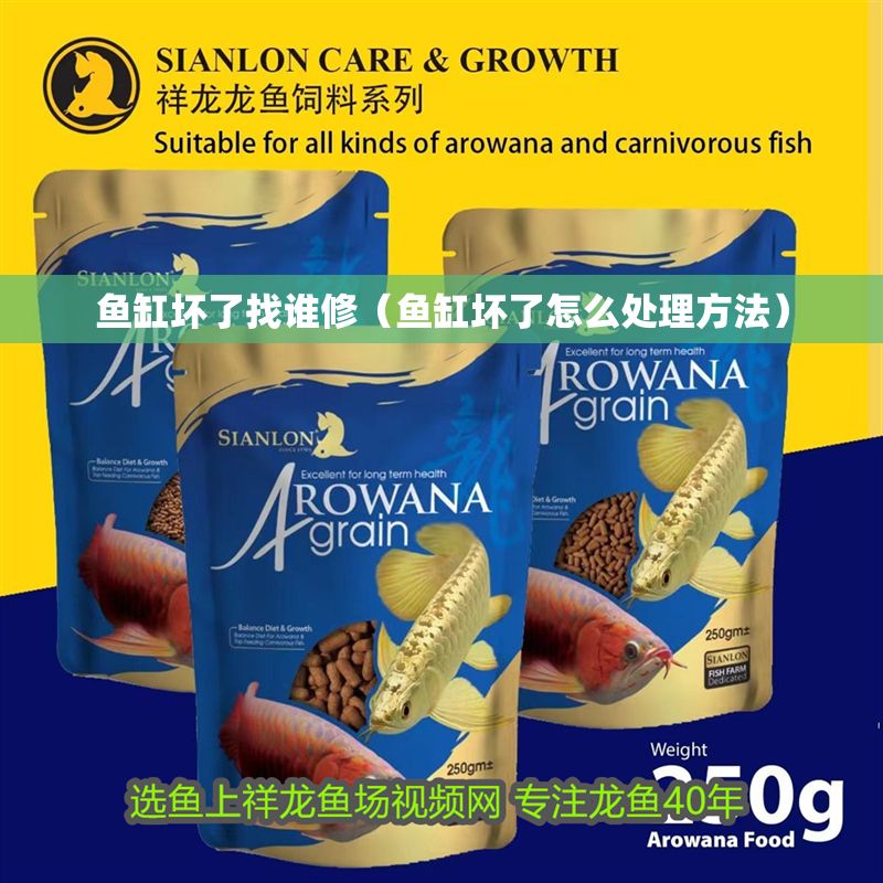 魚缸壞了找誰修（魚缸壞了怎么處理方法）