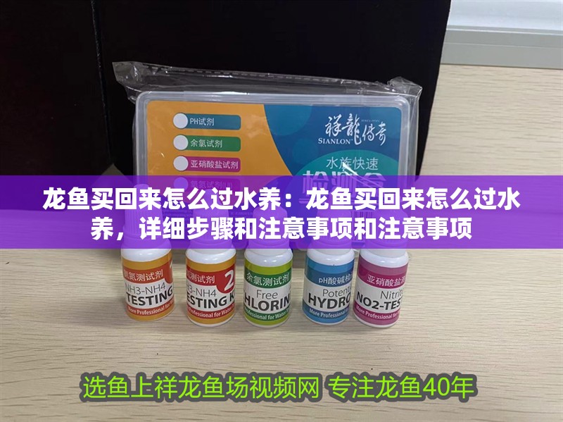 龍魚買回來怎么過水養：龍魚買回來怎么過水養，詳細步驟和注意事項和注意事項