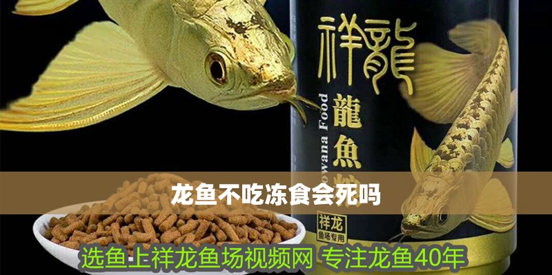 龍魚不吃凍食會死嗎