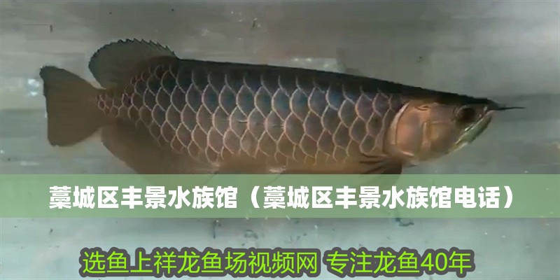 藁城區豐景水族館（藁城區豐景水族館電話）