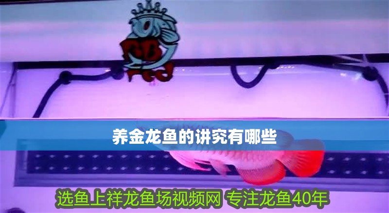 養(yǎng)金龍魚的講究有哪些
