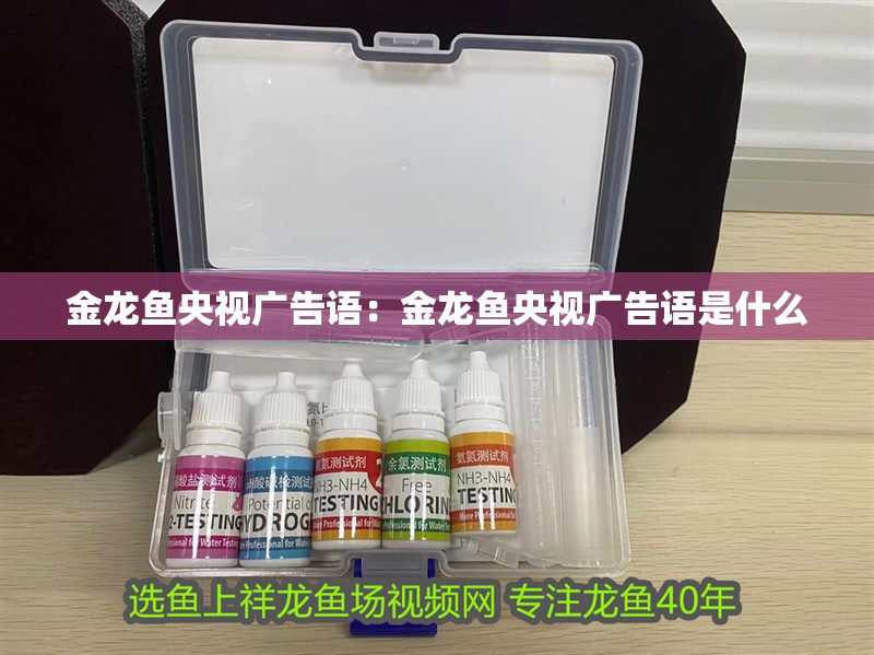 金龍魚央視廣告語(yǔ)：金龍魚央視廣告語(yǔ)是什么 金龍魚央視廣告語(yǔ)：金龍魚央視廣告語(yǔ)是什么 水族問(wèn)答