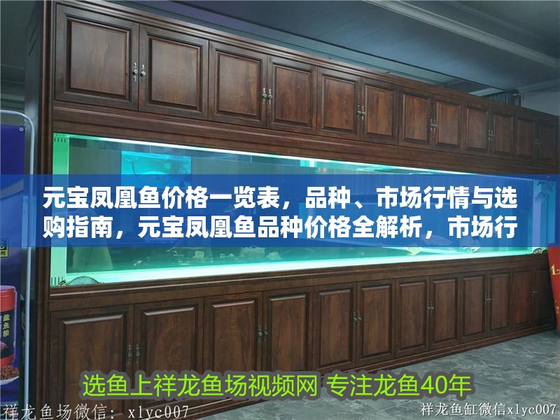 元寶鳳凰魚價格一覽表，品種、市場行情與選購指南，元寶鳳凰魚品種價格全解析，市場行情與選購技巧