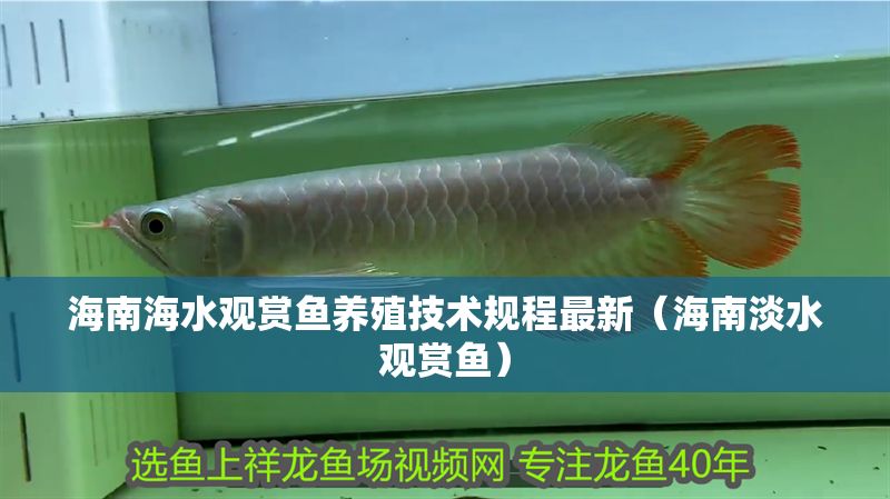 海南海水觀賞魚養(yǎng)殖技術(shù)規(guī)程最新(海南淡水觀賞魚) 魟魚百科 第1張 海南海水觀賞魚養(yǎng)殖技術(shù)規(guī)程最新(海南淡水觀賞魚) 海南海水觀賞魚養(yǎng)殖技術(shù)規(guī)程最新(海南淡水觀賞魚) 魟魚百科 第1張
