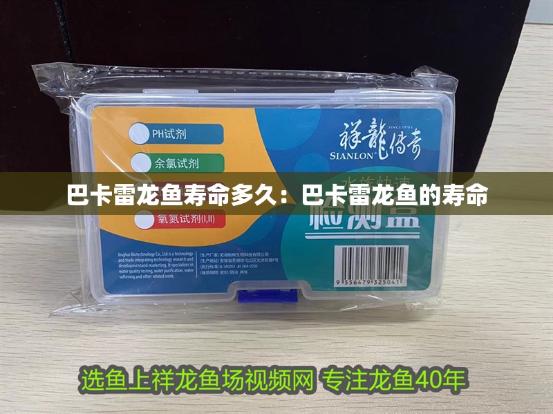 巴卡雷龍魚壽命多久：巴卡雷龍魚的壽命