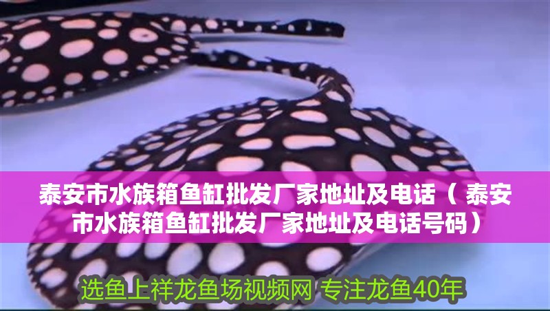 <strong><mark>泰安</mark></strong>市水族箱魚缸批發廠家地址及電話（ <strong><mark>泰安</mark></strong>市水族箱魚缸批發廠家地址及電話號碼）
