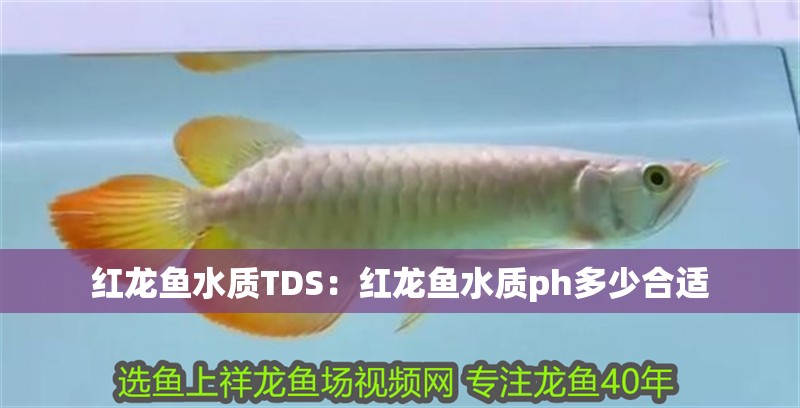 紅龍魚水質TDS：紅龍魚水質ph多少合適