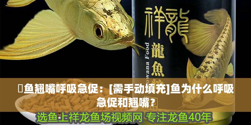 魟魚翹嘴呼吸急促：[需手動填充]魚為什么呼吸急促和翹嘴？