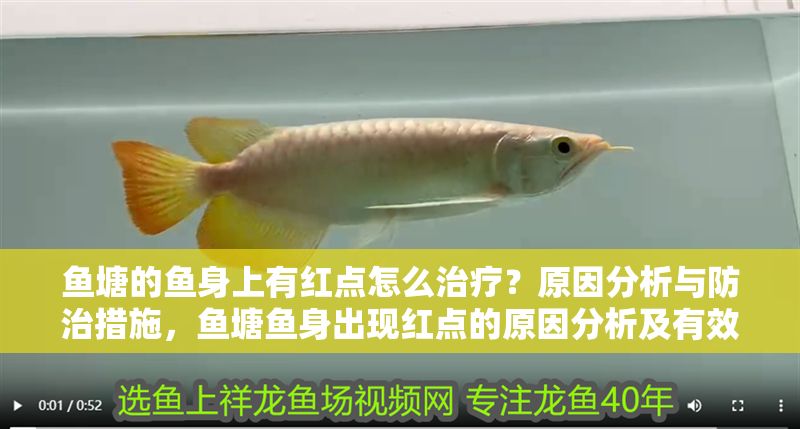魚塘的魚身上有紅點怎么治療？原因分析與防治措施，魚塘魚身出現紅點的原因分析及有效防治方法