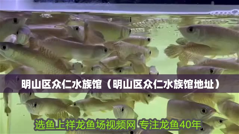 明山區(qū)眾仁水族館（明山區(qū)眾仁水族館地址） 明山區(qū)眾仁水族館（明山區(qū)眾仁水族館地址） 全國水族館企業(yè)名錄 第1張