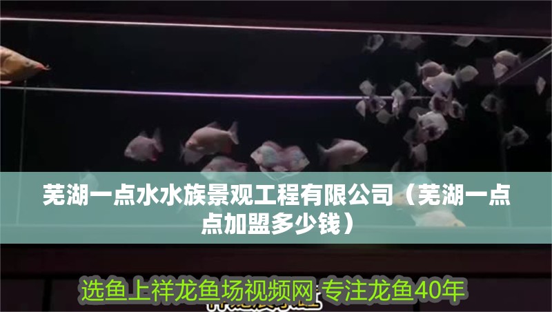 蕪湖一點水水族景觀工程有限公司（蕪湖一點點加盟多少錢）