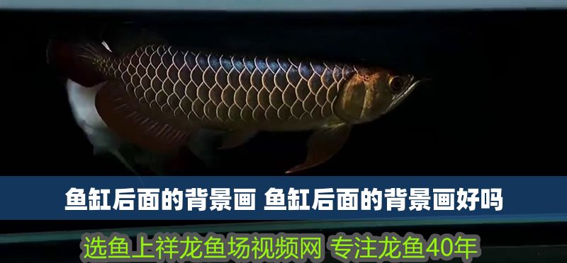魚缸后面的背景畫 魚缸后面的背景畫好嗎 魟魚百科 第1張 魚缸后面的背景畫 魚缸后面的背景畫好嗎 魚缸后面的背景畫 魚缸后面的背景畫好嗎 魟魚百科 第1張